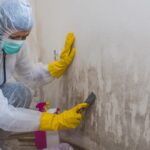 Preventing Mold Growth